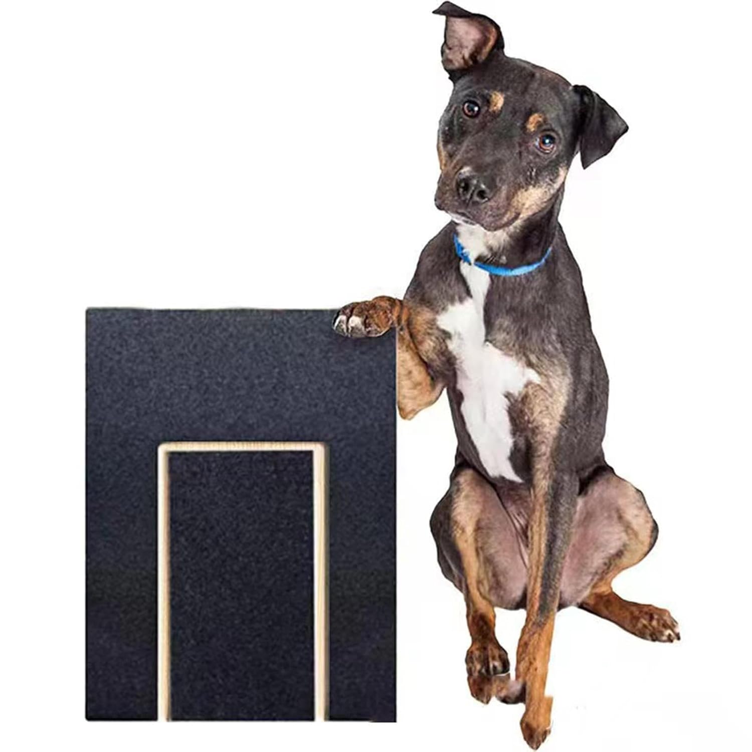 Dog Nail Scratch Pad with Snack Box – Wood Nail Care Board for Dogs
